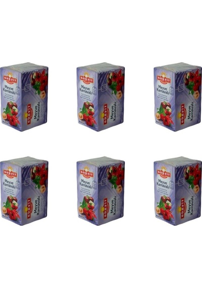Günvit Meyve Karnavalı Çayı Bardak Süzen Poşet 6 x 20'li