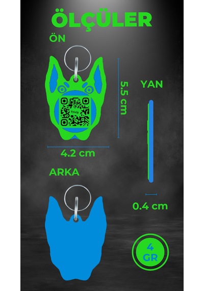 Petjoo 30.Anubis Mavi-Yeşil Qr'lı Köpek Künyesi