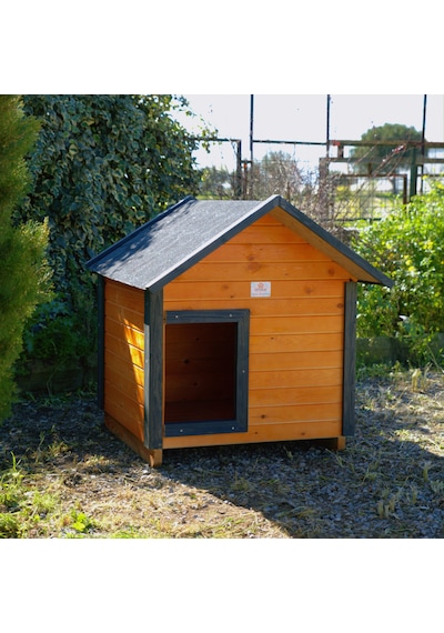 Orta Irk Köpek Kulübesi