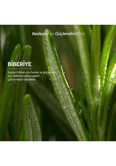 Botanics+ Saf Biberiye Suyu