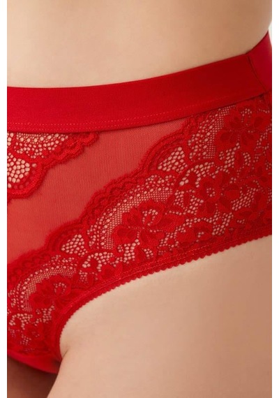Cottonhill Dantelli Arkası Transparan Büyük Beden Bikini Külot 3'lü Paket-2 Çok Renkli 3