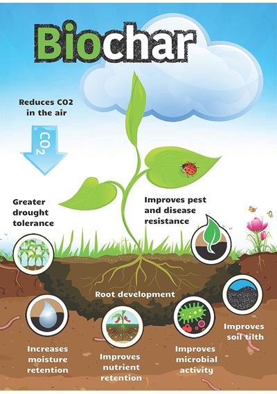 Prechar Meşe Odunu Bazlı Karbon Toprak Düzenleyici 1l Biochar 3mm Ve Altı 1 LT