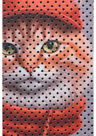 Kedi Kumu Paspası Kedi Tuvaleti Paspası 40 x 60 CM