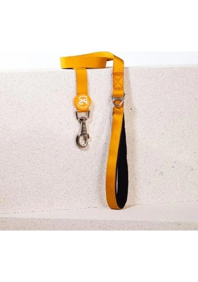 Köpek Gezdirme Kayışı, 120 Cm X 2 Cm, Dayanıklı