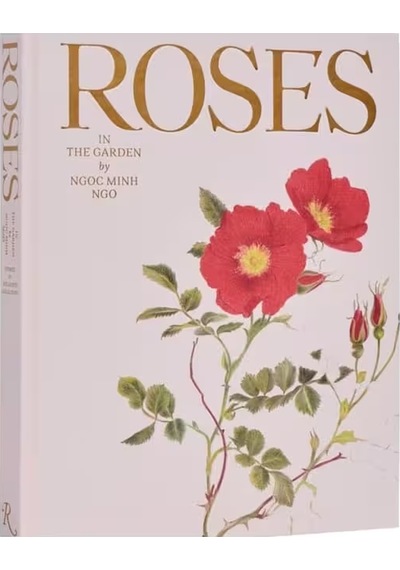 Rizzoli Roses İn The Garden 9780847843053