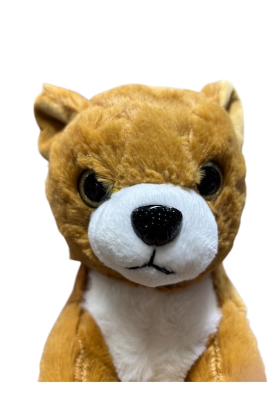 Vardem Oyuncak 25cm Peluş Köpek