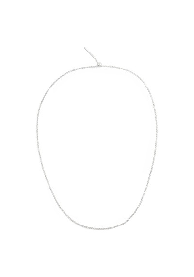 Daniel Wellington Dw00401046 Kadın Kolye Diğer