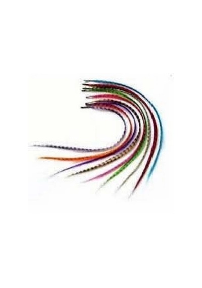 Hair Feather Saç Tüyü - Asorti Çok Renkli