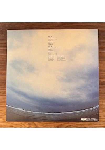 N.s.p. Frayed Shirt / Fragments Of Tears