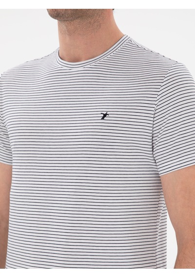 Siyah Slim Fit Bisiklet Yaka Çizgili T-shirt Beyaz