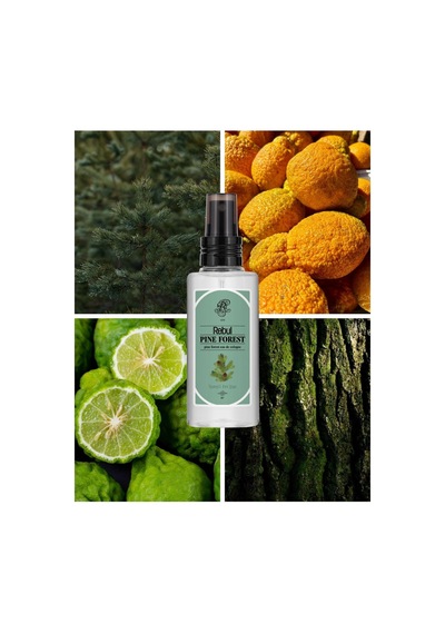 Rebul Pıne Forest Kolonya 125 Ml Spreyli Pet Şişe 3 Lü Set