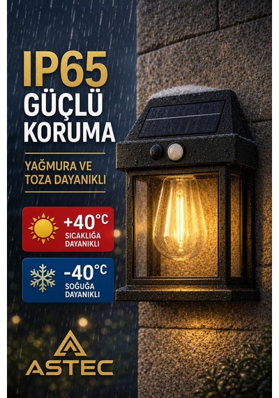 Astec Solar Hareket Sensörlü Duvar Lambası 20w Ip65 Güneş Enerjili Bahçe Apliği Gün Işığı