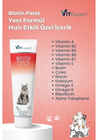 Tr Kediler Için Biotin Paste Tüy Dökülme Döküm Tüy Sağlığı Malt Macunu 100 Gr