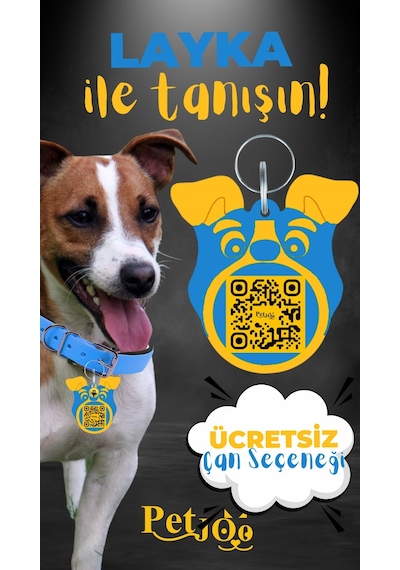 Petjoo 22.Layka Sarı-Mavi Qr'lı Köpek Künyesi
