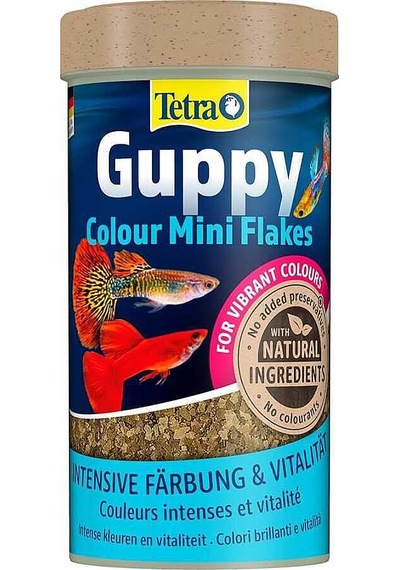Tetra Guppy Clour Mini Flakes Lepistes Pul Balık Yemi 100 Ml