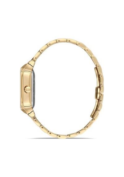 Sd166g-02sg Hislon Kol Saati 40 Mm / Gold Gri