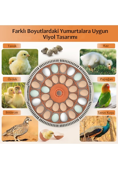 Altın Kuluçka-wonegg 30'lu Otomatik Kuluçka Makinesi