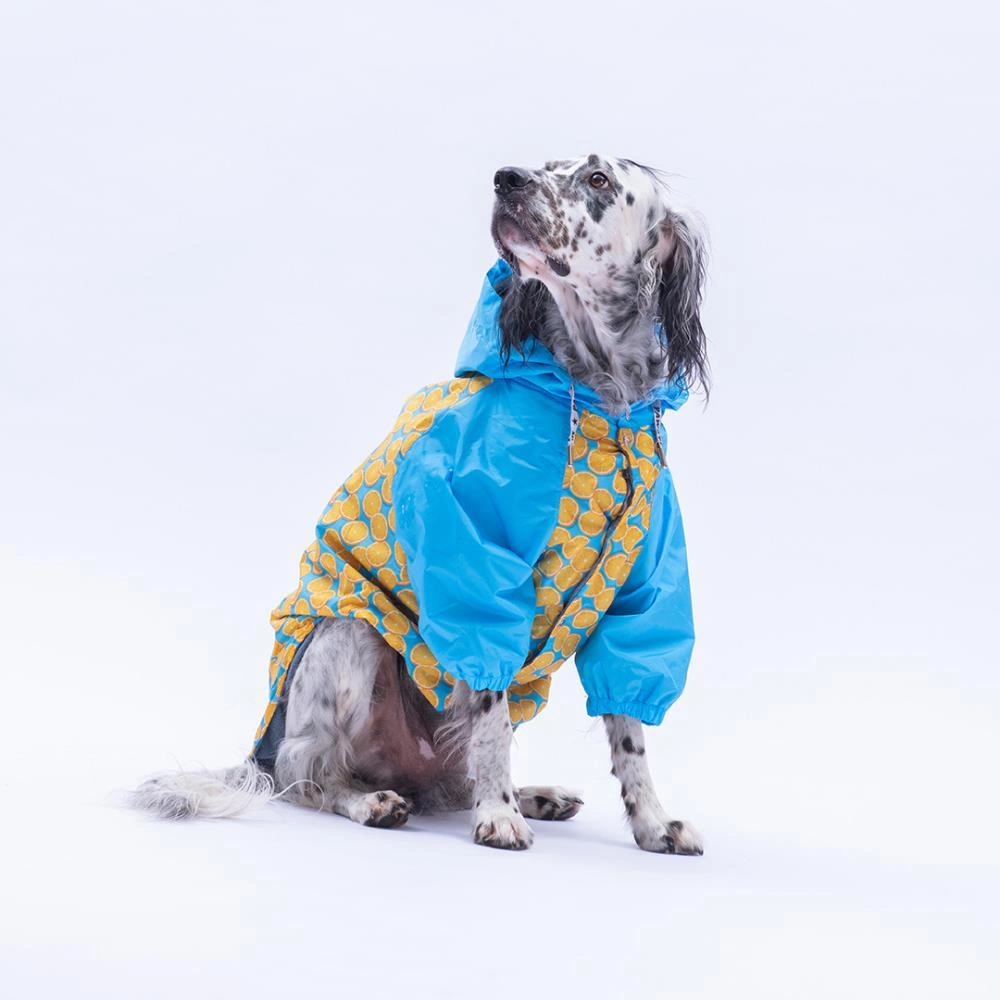 Nice Citrus Narenciye Desenli Büyük Irk Köpek Montu Köpek Yağmurluğu Köpek Kıyafeti Köpek Elbisesi