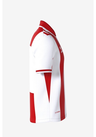 26/27 Hummel Samsunspor Çubuklu Forma Kırmızı - Beyaz