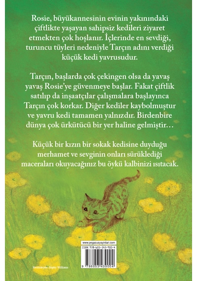 Sokak Kedisi Tarçın