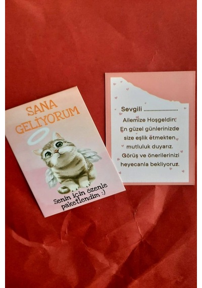Melek Kedili 100 Adet Tebrik Kartı - Sana Geliyorum Teşekkür Kart