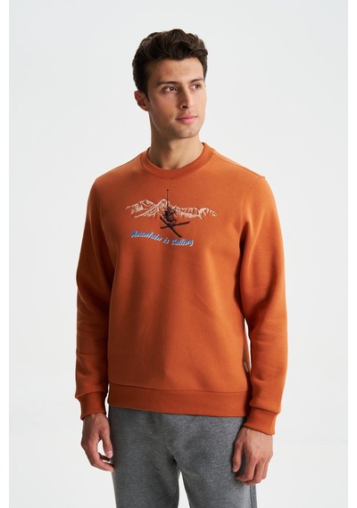 AR-MA Arma Erkek Regular Fit 3 İplik Şardonlu Pamuklu Bisiklet Yaka Sweatshirt 001