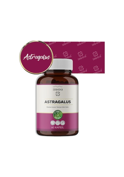 Erbatab Astragalus Çin Geveni Eki 60 Kapsül