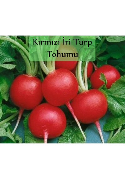 6 Paket Tohum No5 Kırkağaç Kavunu Tohumu Kara Kavun Tohumu Barbunya Tohumu Brokoli Tohumu ...