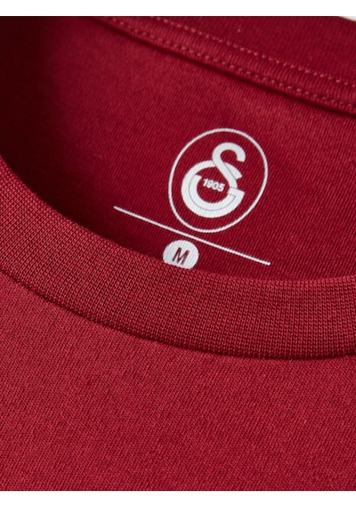 Gsstore Galatasaray Erkek T-shirt E252176 Bordo