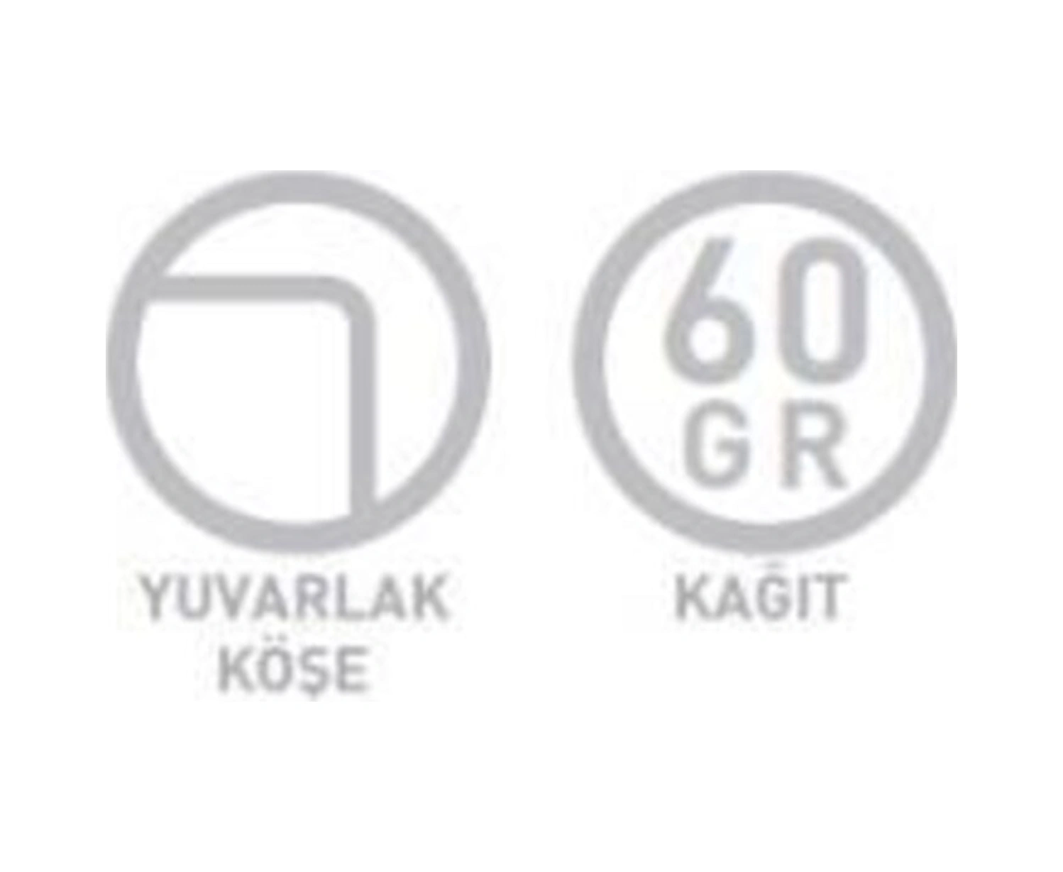 Beat A4 Tel Dikişli Pp Kapak Defter 40 Yaprak Çizgili 6 Lı Paket 4217