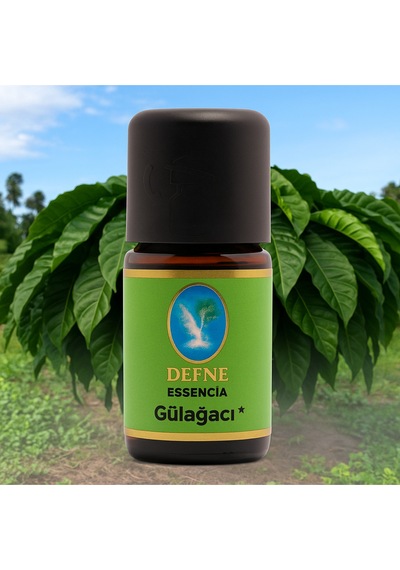 Gül Ağacı Organik %100 Saf Uçucu Yağ 5ml
