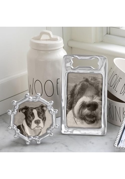 Köpek Kemik Yuvarlak Çerçeve Gümüş 4 X 6