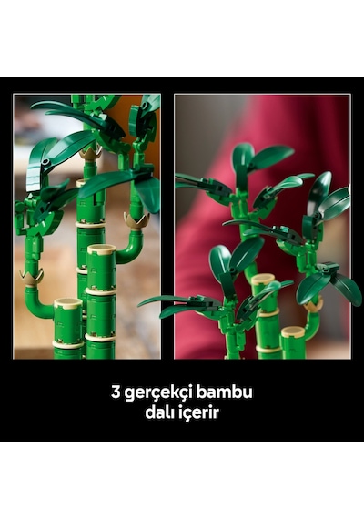 LEGO® Botanicals Sans Bambusu 10344 - Dogasever Yetiskinler için Dekoratif Bitki Yapim Seti (325 Parça)