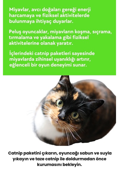 Miyav Çılgın Manav- 4 Adet Peluş Kedi Oyuncak Seti 8 Adet Catnip