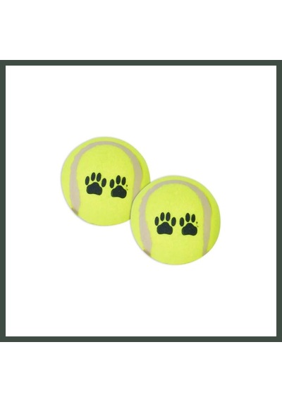 Flip Wp-6331 Pet Tenis Oyun Topu 2 Li 1 Adet Nhr
