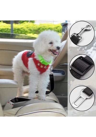 Kedi ve Köpek Araç Emniyet Kemeri Tasması İçi Yavru Evcil Hayvan