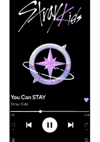 Stray Kids, You Can Stay, K-pop Unisex Siyah %100 Pamuk Siyah Kapüşonlu Sweatshirt Siyah