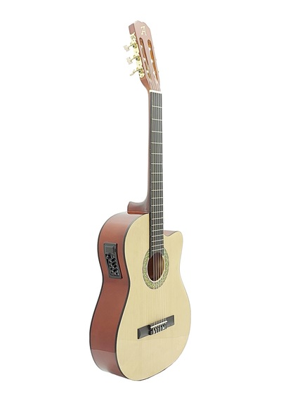 Ardor Lcg209Ceq Klasik Gitar 4 Band Eq Kılıf