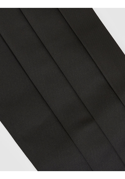 Pierre Cardin Erkek Siyah Takımlı Papyon 50328594-vr046