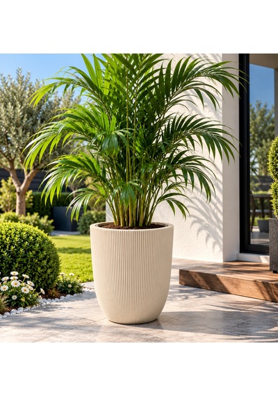 So-palm3 Palmiye Dekoratif Plastik Saksı İç Kovalı 30 Lt Krem 4 Adet
