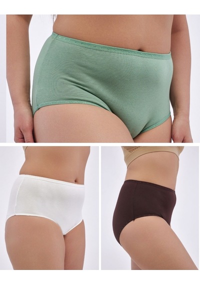 Alya Underwear Kadın Büyük Beden Külot Battal Full Brief, Yüksek Bel 5xl, 6xl, 7xl 5 Farklı Renk 1 Pakette Çok Renkli Alya Underwear Kadın Büyük Beden Külot Battal Full Brief, Yüksek Bel 5xl, 6xl, 7xl 5 Farklı Renk 1 Pakette Çok Renkli