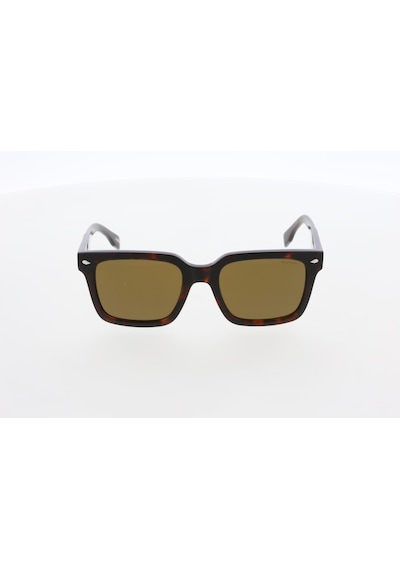 Mustang Mu2641 02 Unisex Güneş Gözlüğü Kahverengi