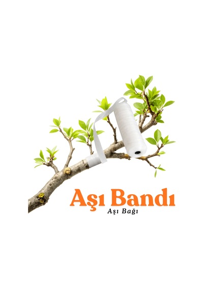 3 Adet Süper Kalite Esnek Aşı Bandı Kendinden Yapışkanlı Fidan Aşı Bağı Esnek Göz Aşı Bandı 100 Mt