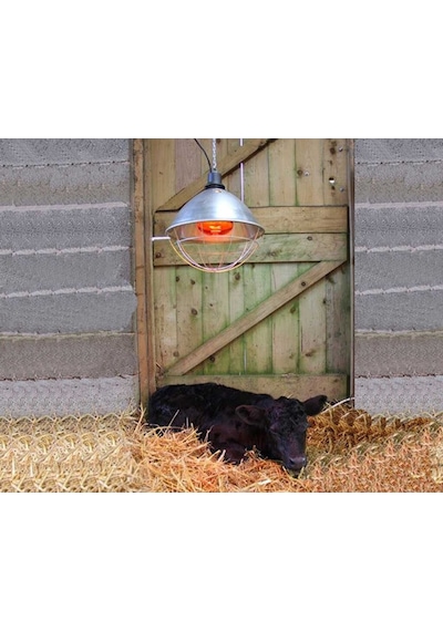 Isıtıcı Ampul 250 Watt