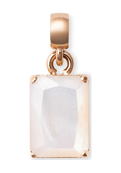 Daniel Wellington Dw00401466 Kadın Küpe Diğer