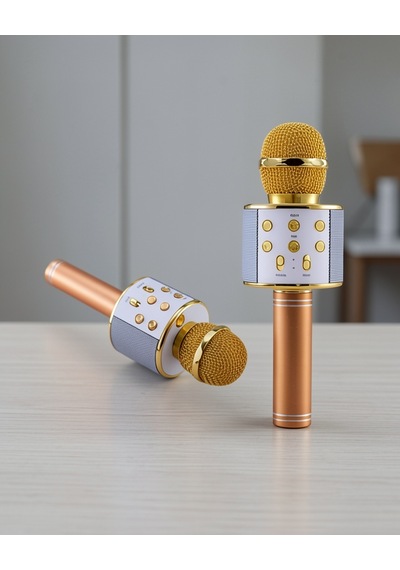 Bluetooth Hoparlör Sd Usb Aux Girişli Karaoke Mikrofonlu
