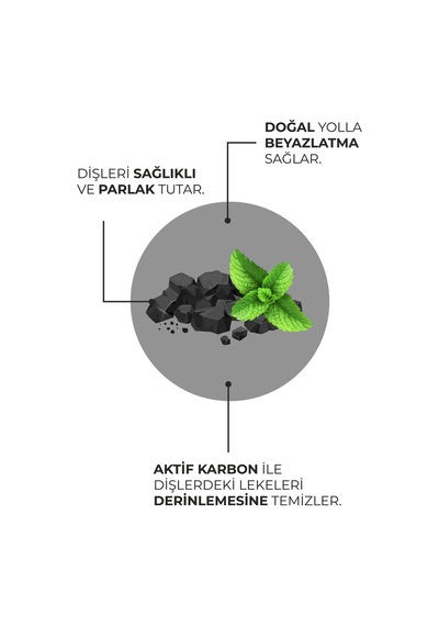 Doğal Hindistan Cevizi Özlü Aktif Karbonlu Florürsüz Diş Macunu 100 Ml