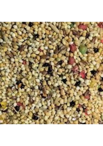 500gr Üçlü Karışım Kuş Yemi Her Kuş Için Özel Üretilmiştir Kuş Yemi Kanarya Hint Bülbülü Ödüllü Kuş