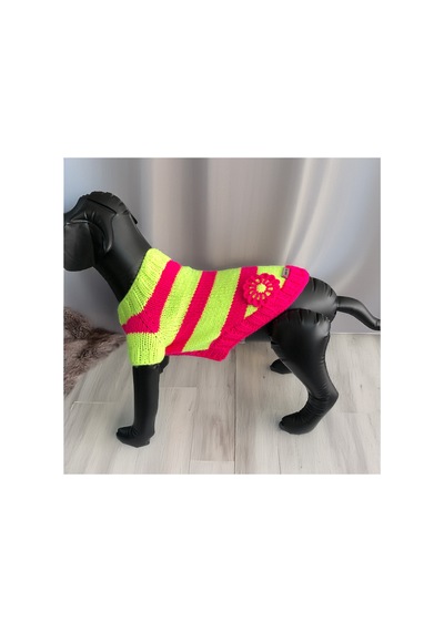 Kedi Ve Köpek İçin Neon Yeşil Pembe Hırka