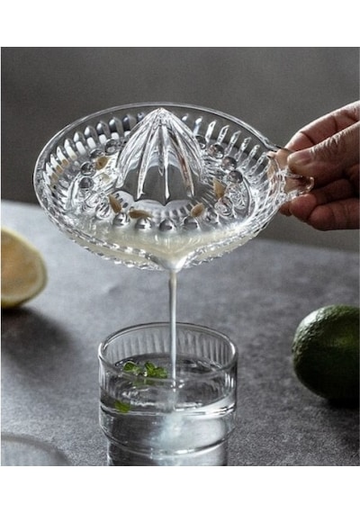 Cam Limon Sıkacağı Diğer